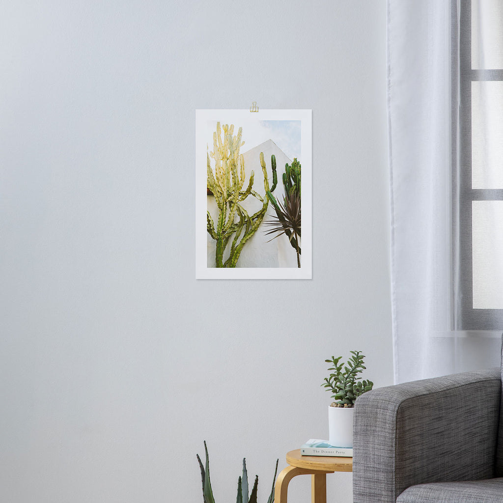 California Cactus Garden Art Print Gallery Image 3