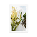 California Cactus Garden Art Print Gallery Image 1