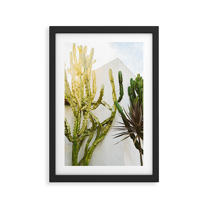 California Cactus Garden Framed Art Print Gallery Image 2