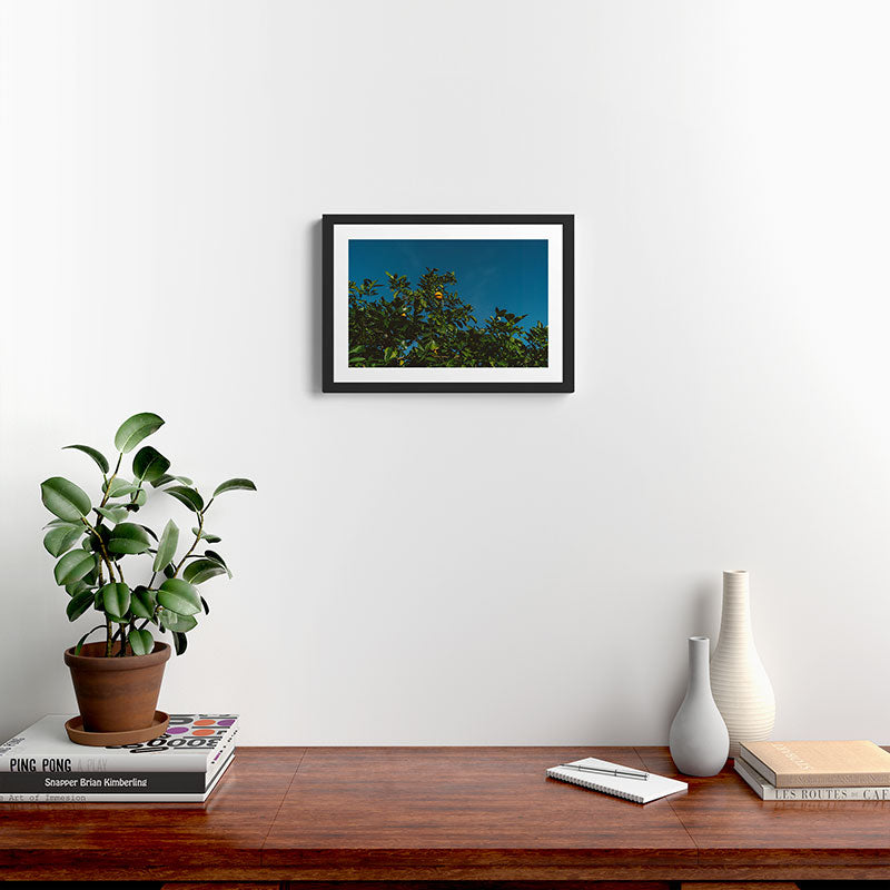 California Orange Tree III Framed Art Print Gallery Image 2
