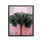Charleston Pink Framed Canvas Print Gallery Image 6