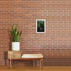 Charleston's Magnolia Plantation VI Art Print Gallery Image 2