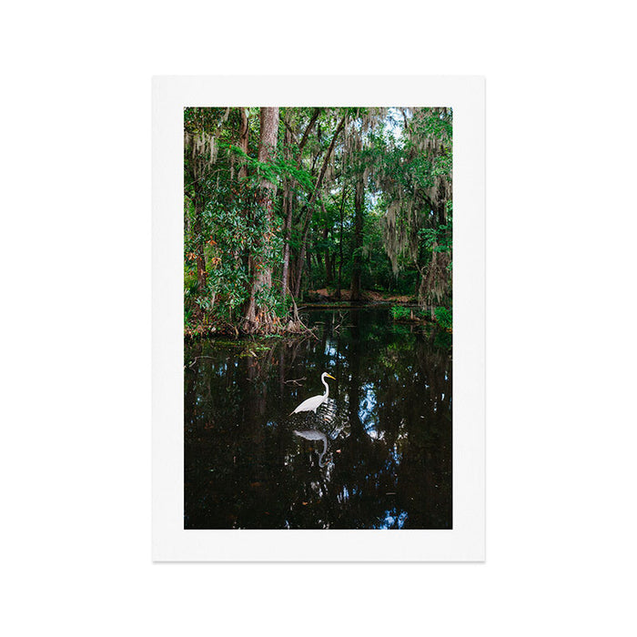 Charleston's Magnolia Plantation VI Art Print Gallery Image 1