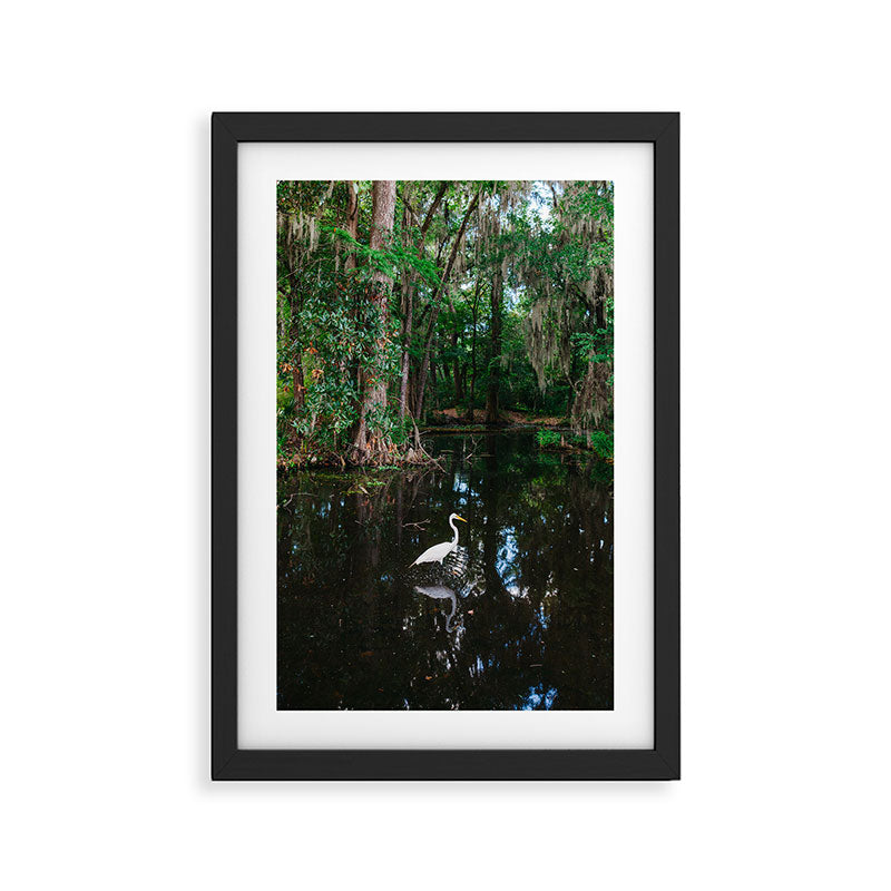 Charleston's Magnolia Plantation VI Framed Art Print Gallery Image 2