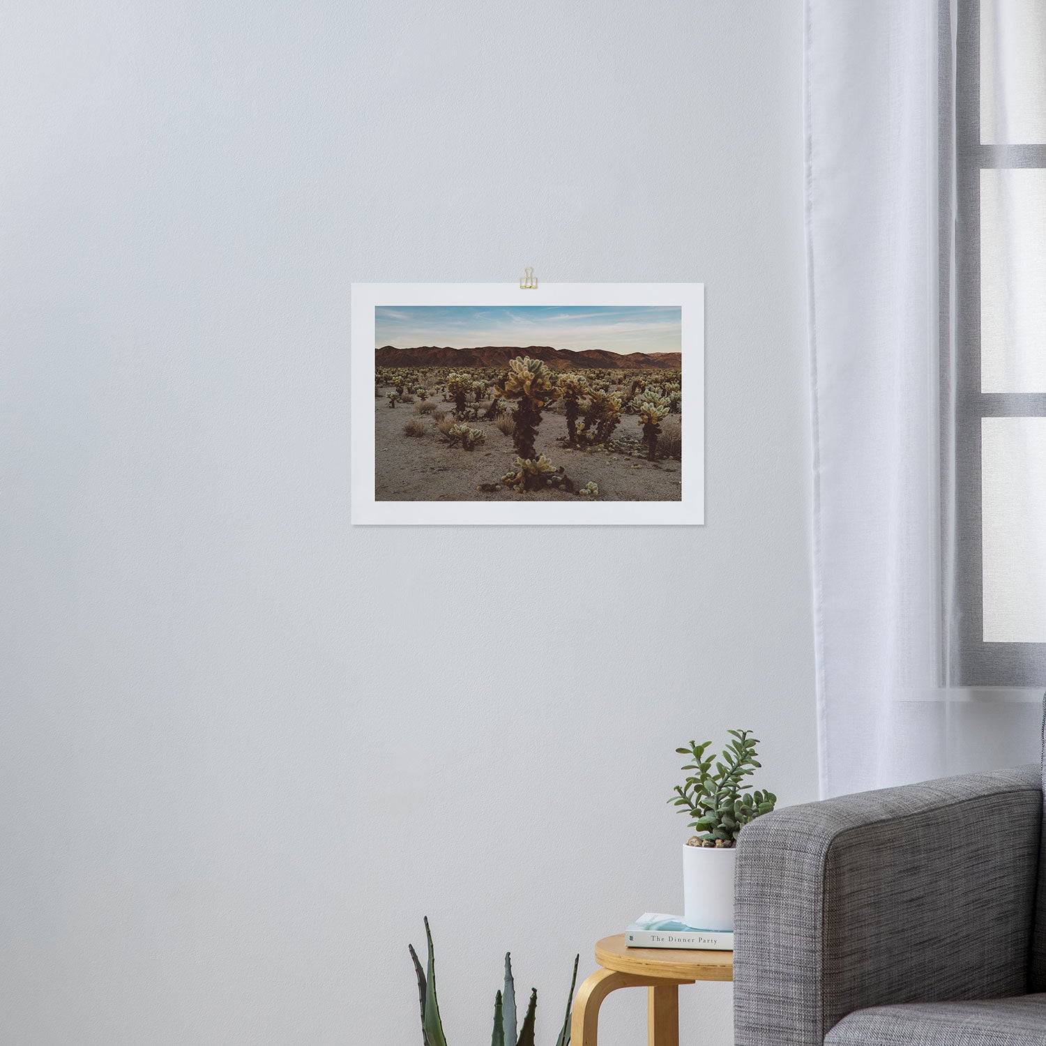Cholla Cactus Garden XII Art Print Gallery Image 3