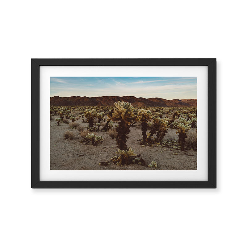 Cholla Cactus Garden XII Framed Art Print Gallery Image 2
