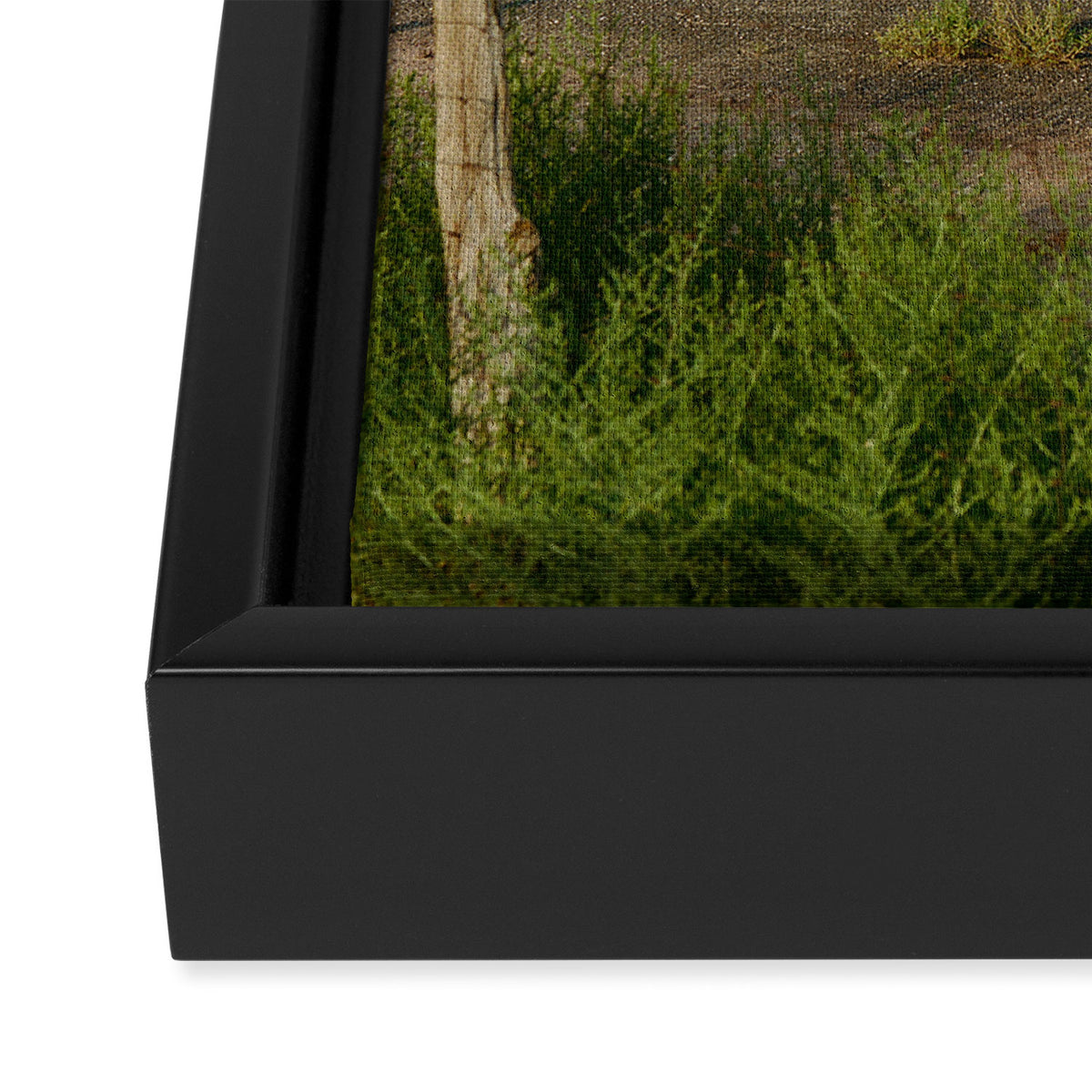 El Cosmico Marfa VI on Film Framed Canvas Print Gallery Image 3