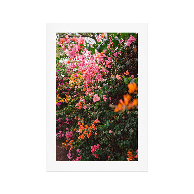 LA Garden Art Print Gallery Image 1