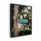 New Orleans Magazine Street II on Film Framed Canvas Print Gallery Image 2