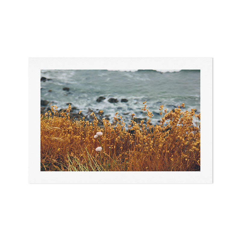 Northern California Coast Art Print Gallery Image 1