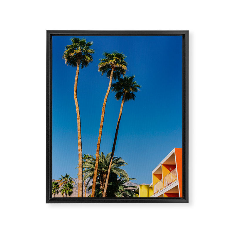 Palm Springs Vibes V Framed Canvas Print Gallery Image 6