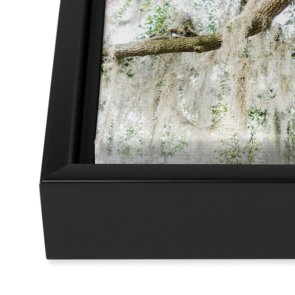 Savannah Spanish Moss XIV Framed Canvas Print Gallery Image 3