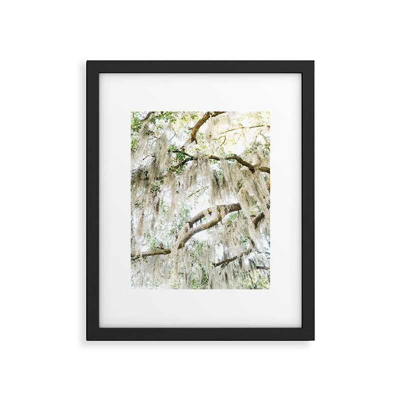 Savannah Spanish Moss XIV Framed Art Print Gallery Image 5