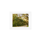 Savannah Wormsloe Historic Site VI Art Print Gallery Image 1