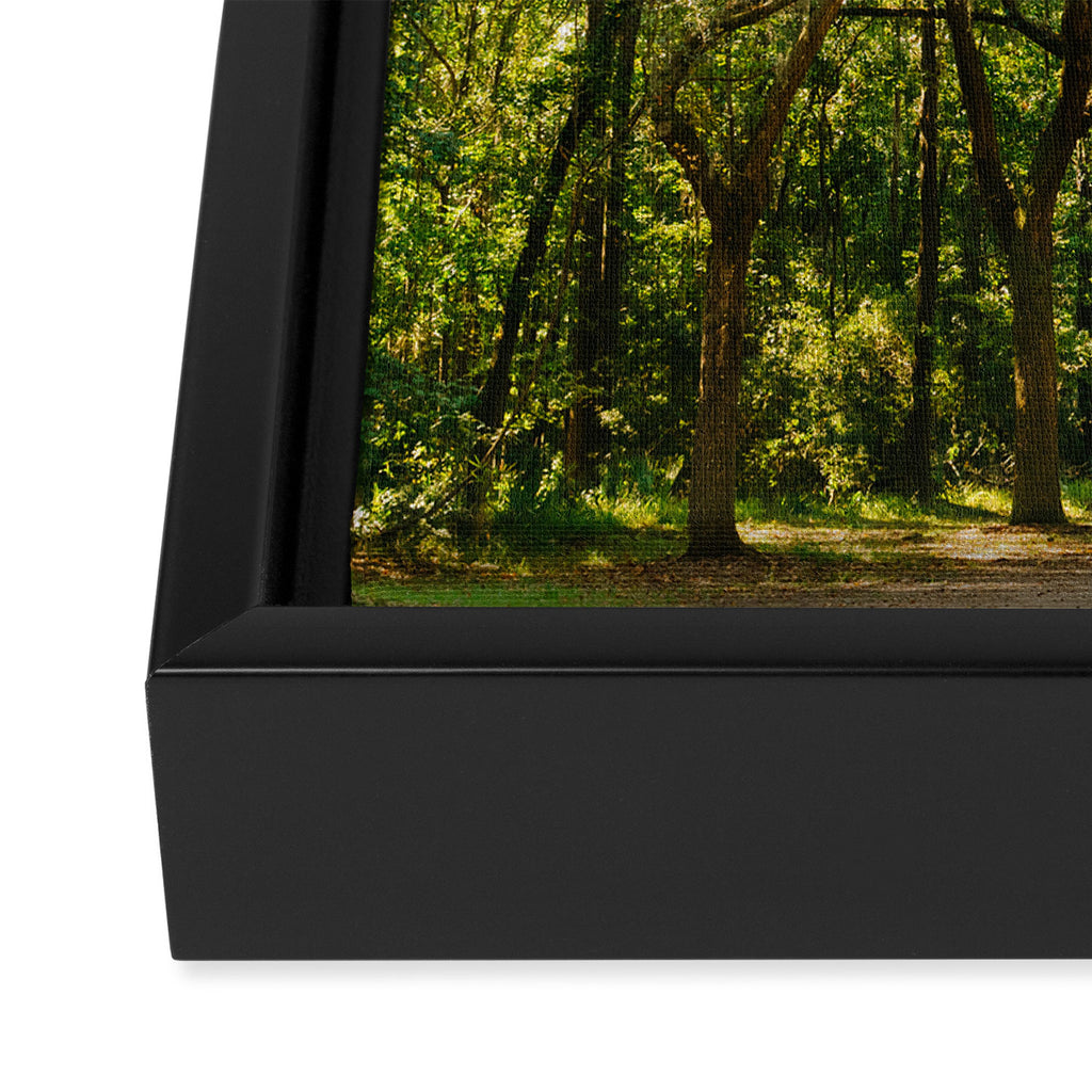 Savannah Wormsloe Historic Site VI Framed Canvas Print Gallery Image 3
