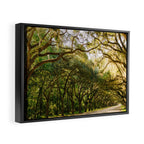 Savannah Wormsloe Historic Site VI Framed Canvas Print Gallery Image 2