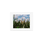 Summer Fields Art Print Gallery Image 1