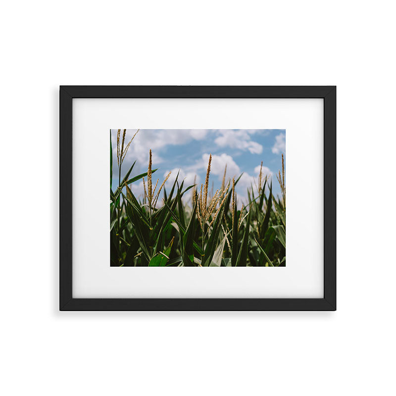 Summer Fields Framed Art Print Gallery Image 5