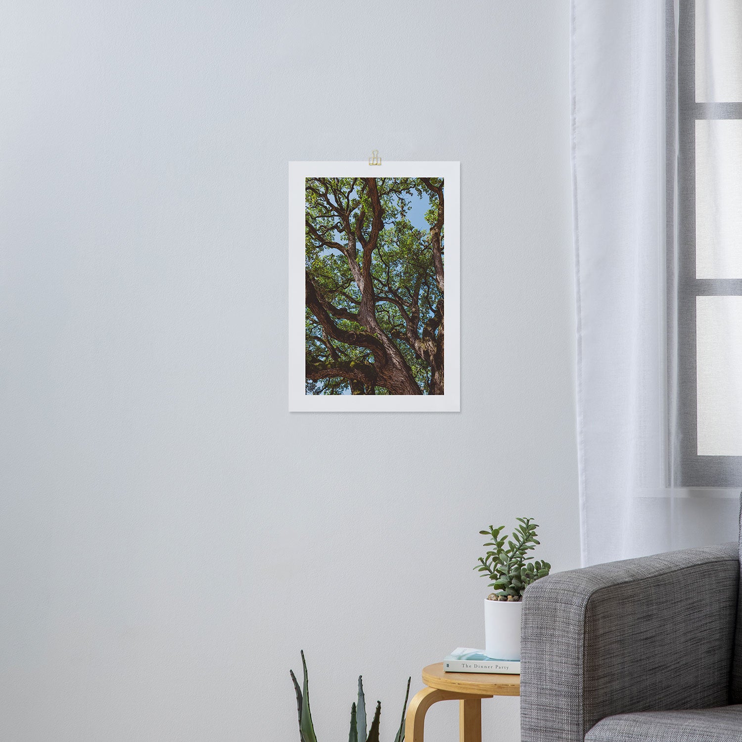 Texas Cottonwood Art Print Gallery Image 3