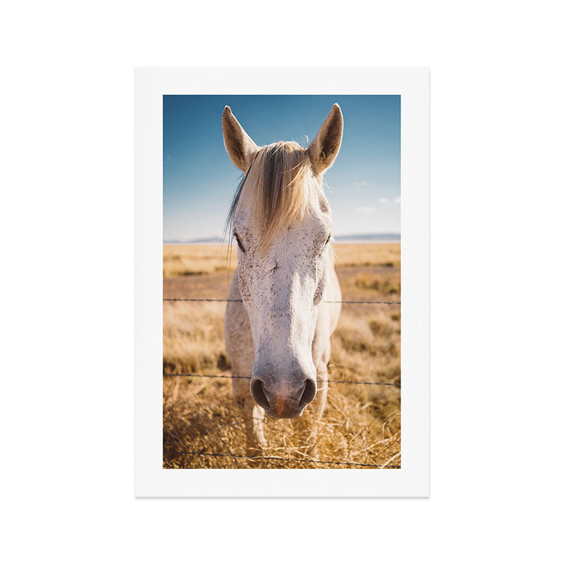 West Texas Wild III Art Print Gallery Image 1