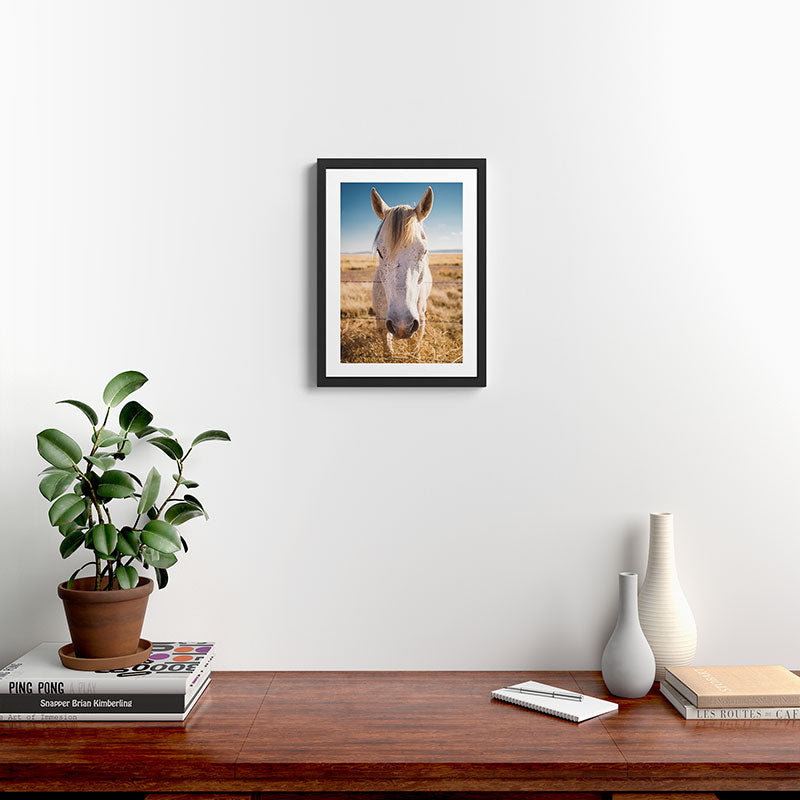 West Texas Wild III Framed Art Print Gallery Image 2