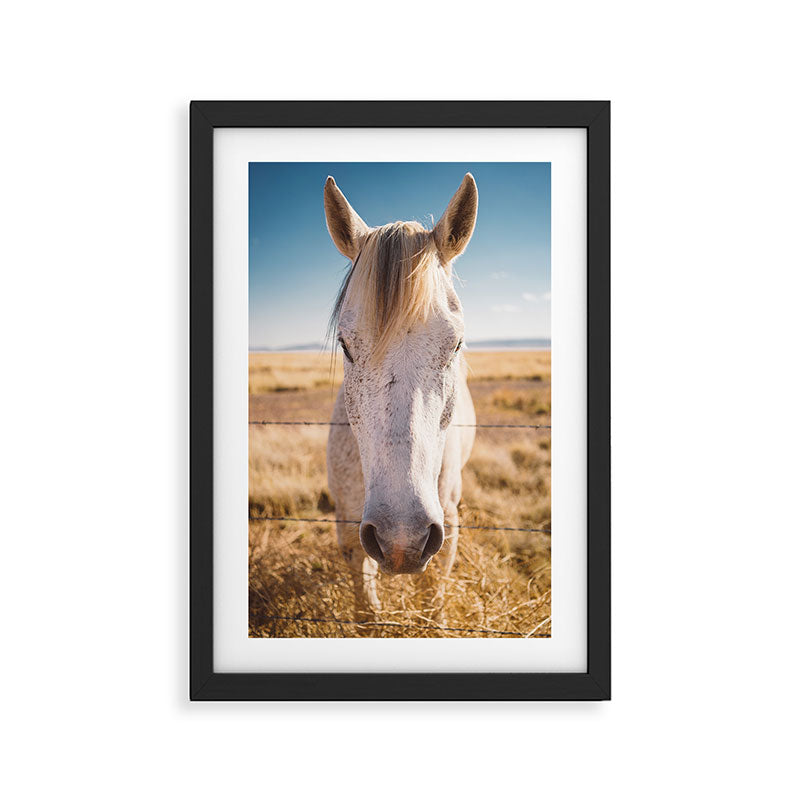 West Texas Wild III Framed Art Print Gallery Image 2