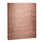 Copper  Canvas Print Gallery Image 8