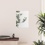 Green Olive Tree Leaves Photo | Botanical Spain Art Print Tenerife Island Nature Travel Photography Poster Gallery Image 2