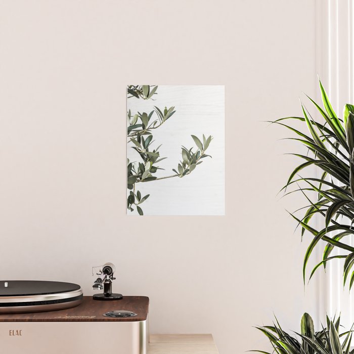 Green Olive Tree Leaves Photo | Botanical Spain Art Print Tenerife Island Nature Travel Photography Poster Gallery Image 2