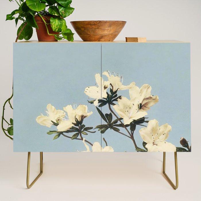 Japanese Azaleas by Ogawa Kazumasa Credenza Gallery Image 1