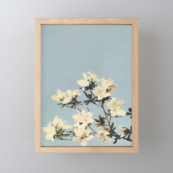 Japanese Azaleas by Ogawa Kazumasa Mini Art Print Gallery Image 1