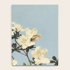 Japanese Azaleas by Ogawa Kazumasa Notebook Gallery Image 4