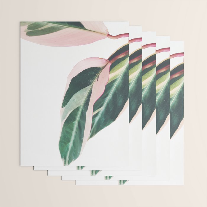 Pink Leaves II Wrapping Paper Gallery Image 3
