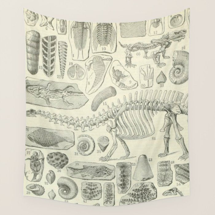Fossil Chart Wall Tapestry Gallery Image 4
