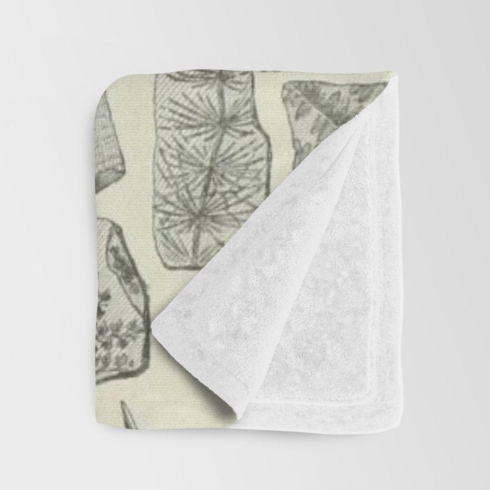 Fossil Chart Throw Blanket Gallery Image 3
