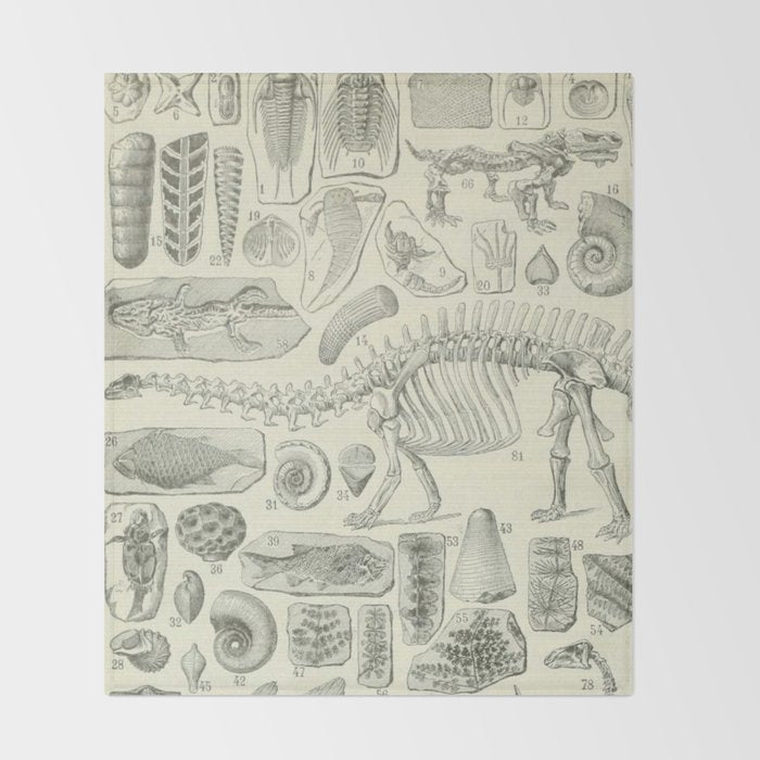 Fossil Chart Throw Blanket Gallery Image 2
