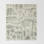 Fossil Chart Throw Blanket Gallery Image 2