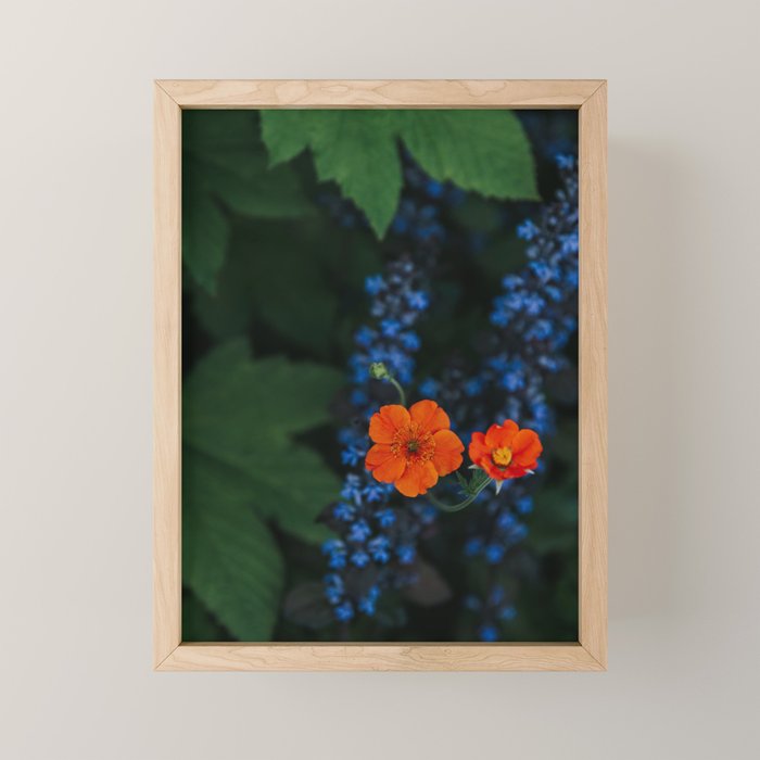 Bloom Time - Landscape and Nature Photography Mini Art Print