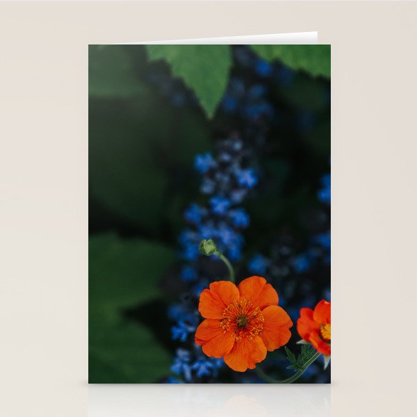 Bloom Time - Landscape and Nature Photography Stationery Card Gallery Image 2