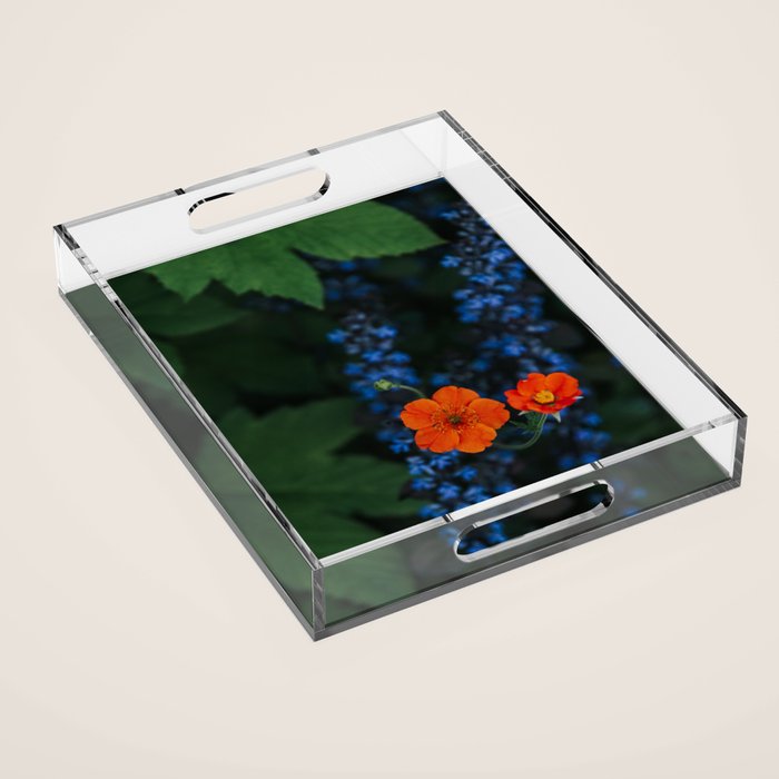 Bloom Time - Landscape and Nature Photography Acrylic Tray Gallery Image 1