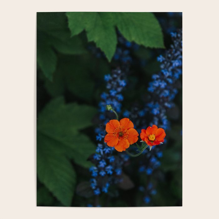 Bloom Time - Landscape and Nature Photography Poster Gallery Image 4