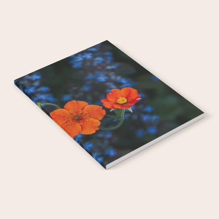 Bloom Time - Landscape and Nature Photography Notebook Gallery Image 1