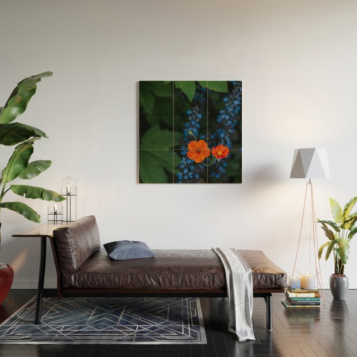 Bloom Time - Landscape and Nature Photography Wood Wall Art Gallery Image 2