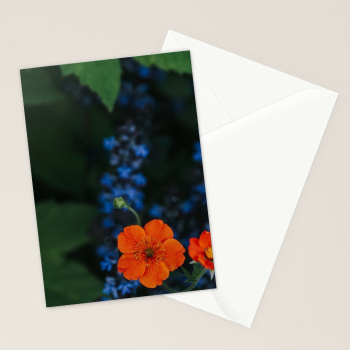 Bloom Time - Landscape and Nature Photography Stationery Card Gallery Image 2