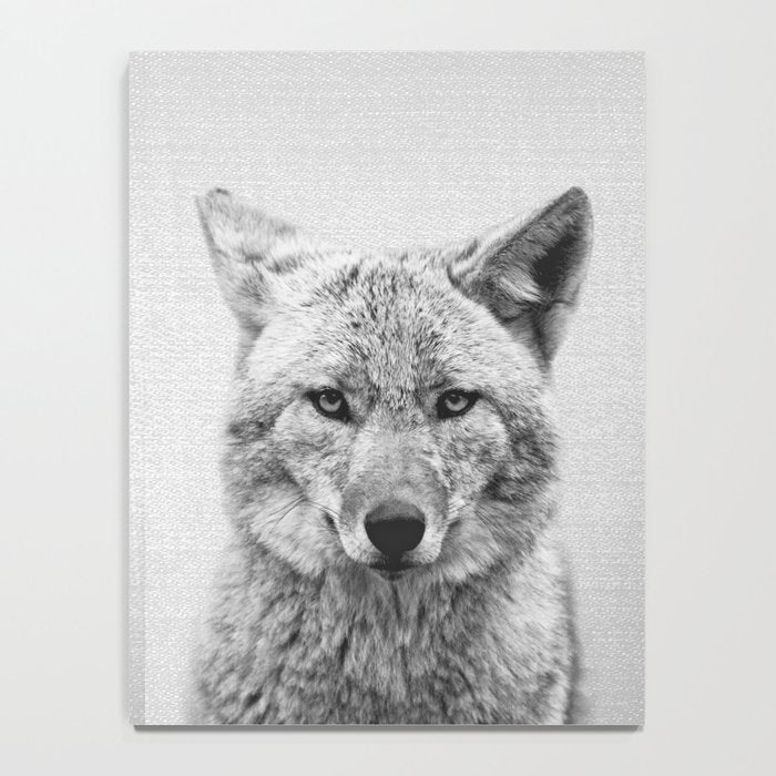 Coyote - Black & White Notebook Gallery Image 4