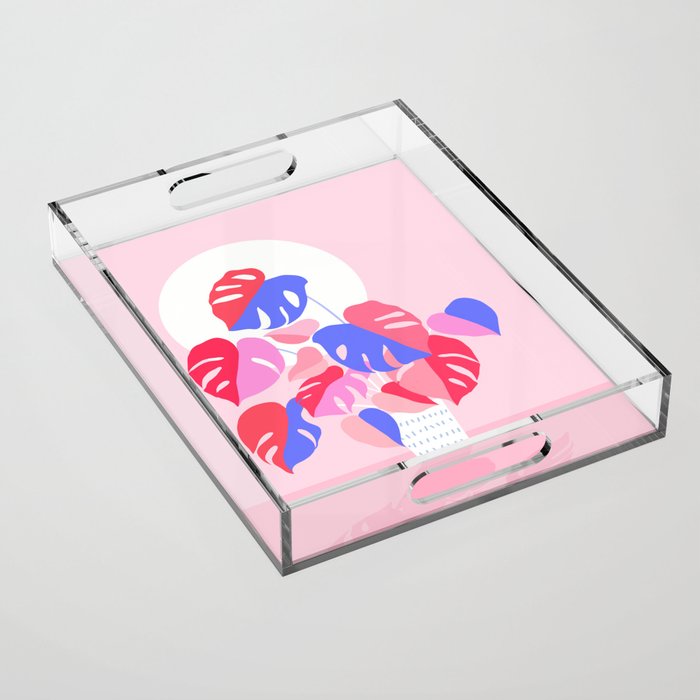 Pretty Monstera Plant in blue and pink Acrylic Tray Gallery Image 1