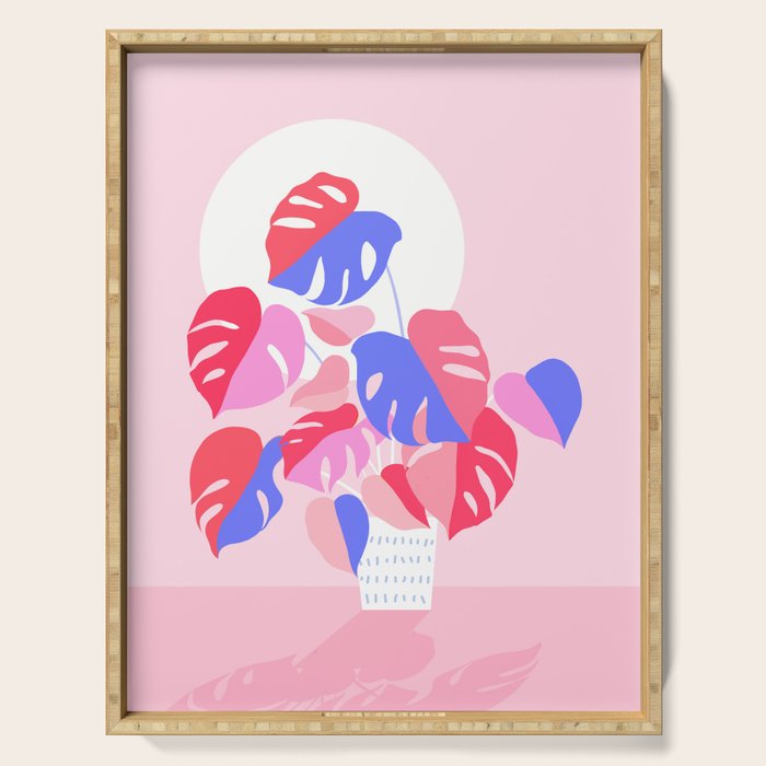 Pretty Monstera Plant in blue and pink Serving Tray Gallery Image 1
