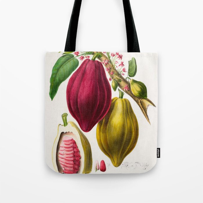 Cacao from "Flore dâAmÃ©rique" by Ãtienne Denisse, 1840s Tote Bag Gallery Image 1