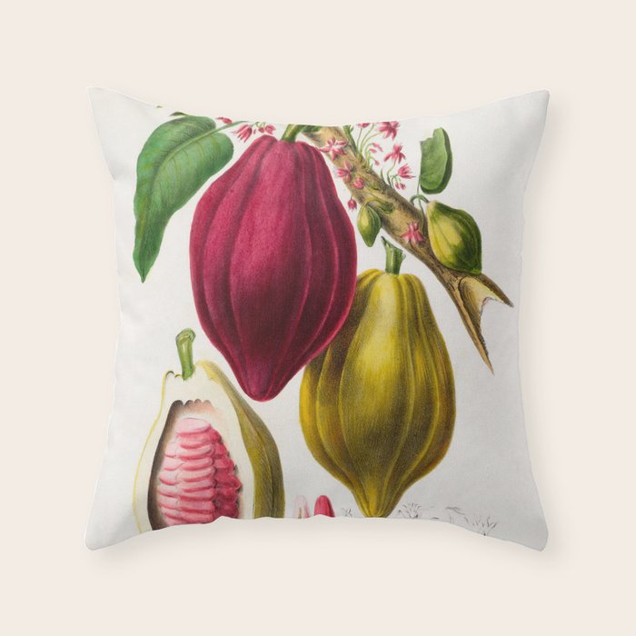 Cacao from "Flore dâAmÃ©rique" by Ãtienne Denisse, 1840s Throw Pillow Gallery Image 6