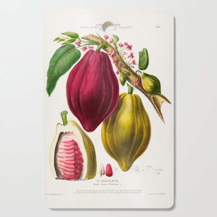 Cacao from "Flore dâAmÃ©rique" by Ãtienne Denisse, 1840s Cutting Board Gallery Image 1